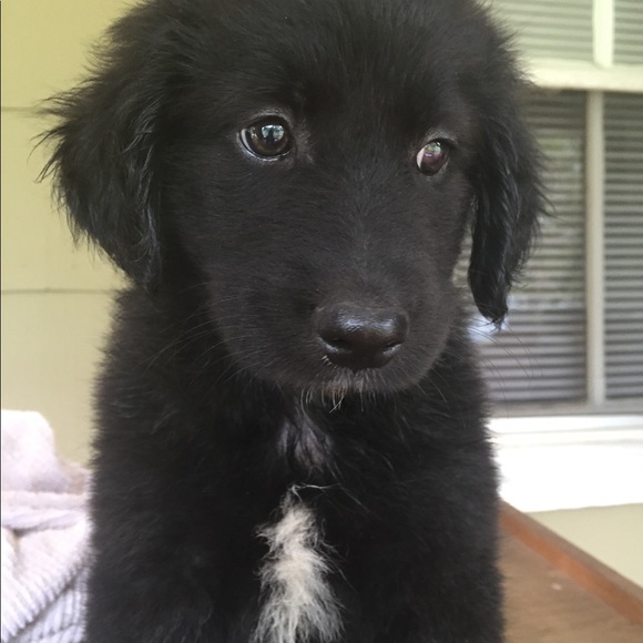 Meet your Posher, Kirsten - Picture 4 of 6